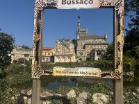 Parque du Bussaco (4) &ndash; &copy; Willi Thomas Krupp (Eberhardt TRAVEL)