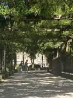Parque du Bussaco (5) &ndash; &copy; Willi Thomas Krupp (Eberhardt TRAVEL)