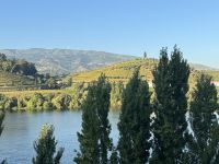 Peso da Regua (6) &ndash; &copy; Willi Thomas Krupp (Eberhardt TRAVEL)