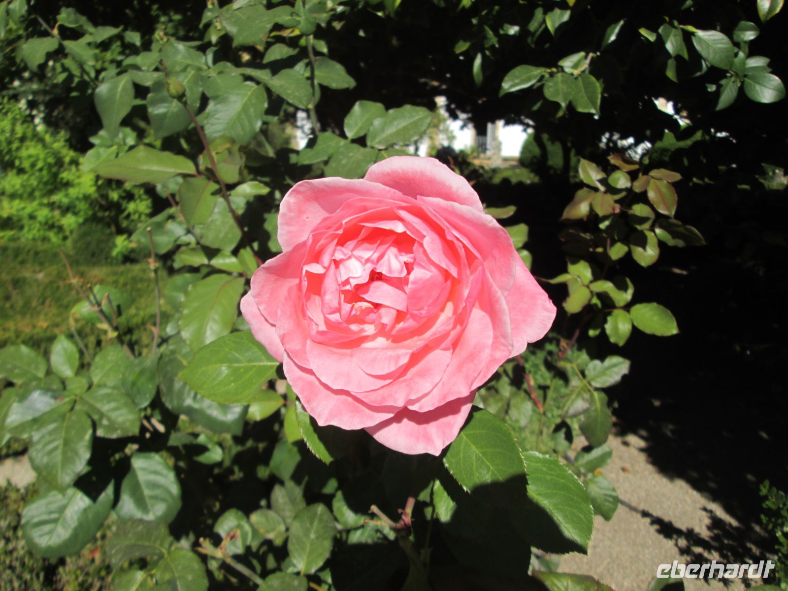 Mateus Garten &ndash; &copy; Heike Heinen (Eberhardt TRAVEL)