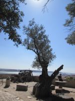 im Burginnenhof &ndash; &copy; Heike Heinen (Eberhardt TRAVEL)