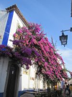 Obidos &ndash; &copy; Heike Heinen (Eberhardt TRAVEL)