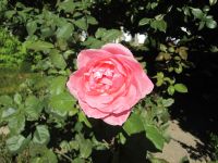 Mateus Garten &ndash; &copy; Heike Heinen (Eberhardt TRAVEL)