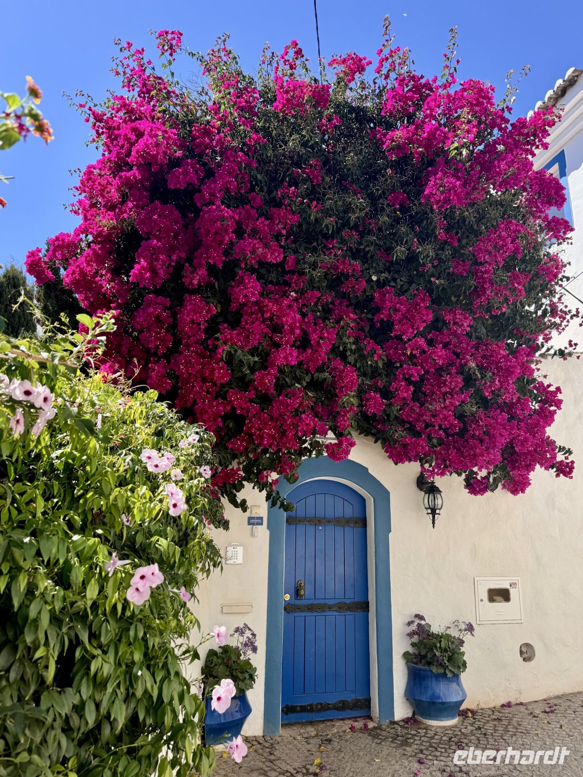 Tag 3 - Blumenpracht in Burgau &ndash; &copy; Christin Kuschka (Eberhardt TRAVEL)