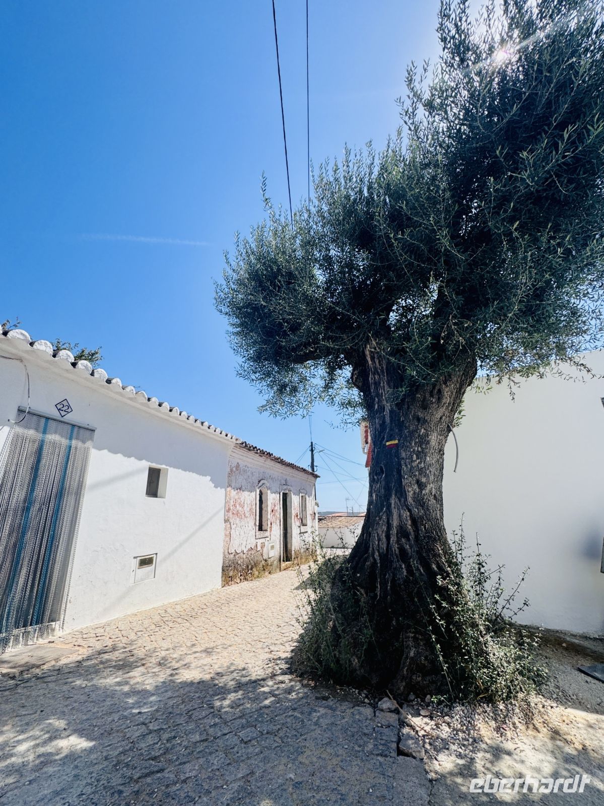 Tag 4 - Penina &ndash; &copy; Christin Kuschka (Eberhardt TRAVEL)