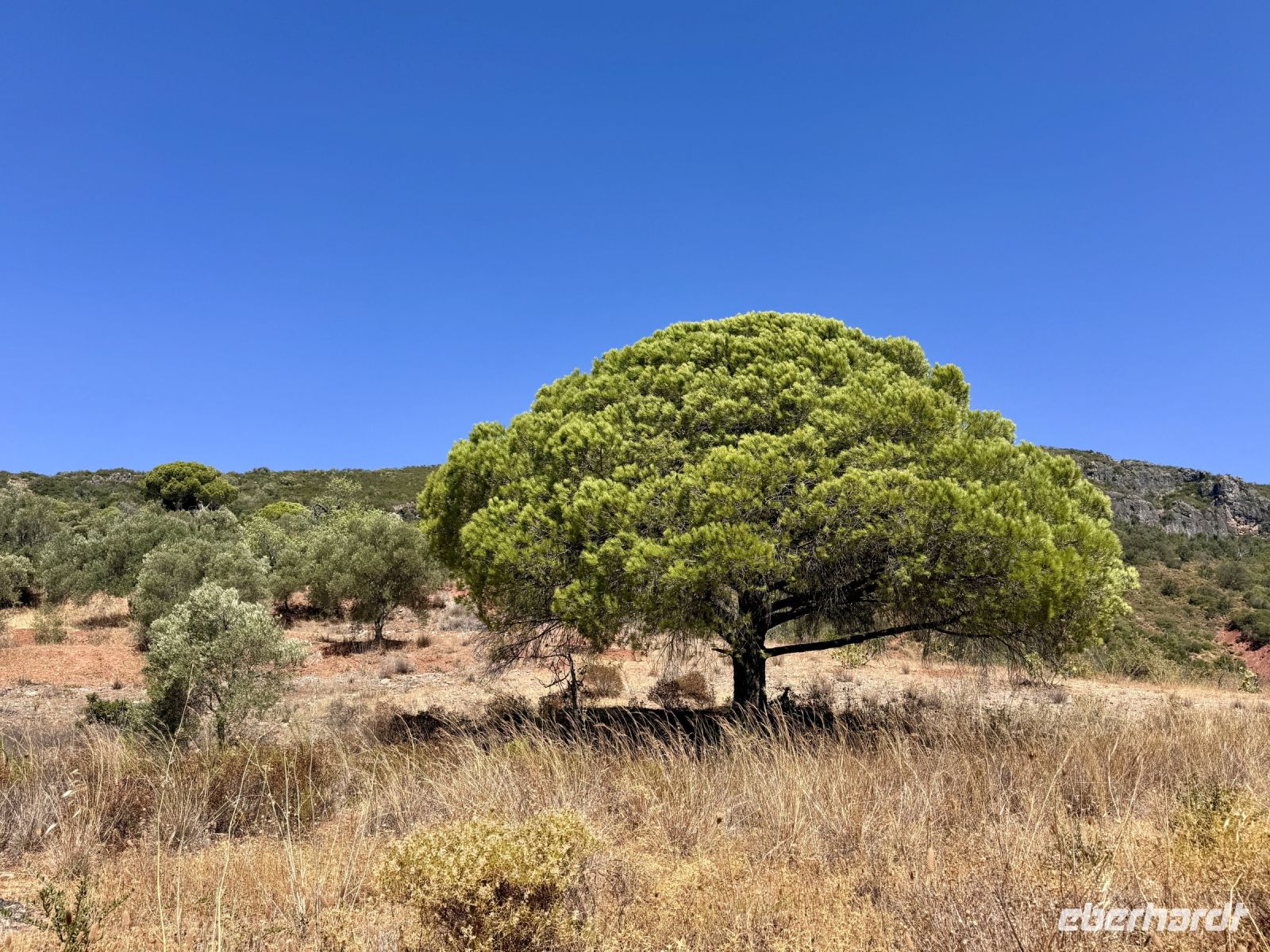 Tag 4 - Impressionen  &ndash; &copy; Christin Kuschka (Eberhardt TRAVEL)