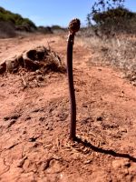 Tag 2 - Agave &ndash; &copy; Christin Kuschka (Eberhardt TRAVEL)