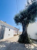 Tag 4 - Penina &ndash; &copy; Christin Kuschka (Eberhardt TRAVEL)