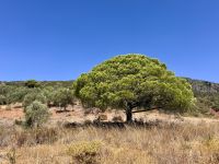 Tag 4 - Impressionen  &ndash; &copy; Christin Kuschka (Eberhardt TRAVEL)