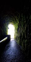 Tag 2 Tunnelausgang vom Tal Rabacal nach Calheta  &ndash; &copy; Robert Kramer (Eberhardt TRAVEL)