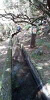 Tag 2 Blick auf die Levada der 25 Quellen  &ndash; &copy; Robert Kramer (Eberhardt TRAVEL)