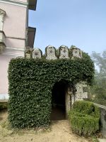 Wald von Bussaco - Gartenlaube &ndash; &copy; Heike Wagner (Eberhardt TRAVEL)