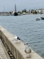 Lagos - Hafenbecken  &ndash; &copy; Heike Wagner (Eberhardt TRAVEL)