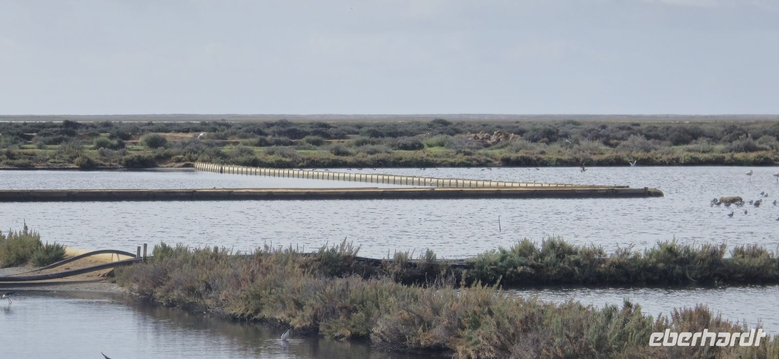 Salinen bei Faro &ndash; &copy; Marlies Thrum (Eberhardt TRAVEL)