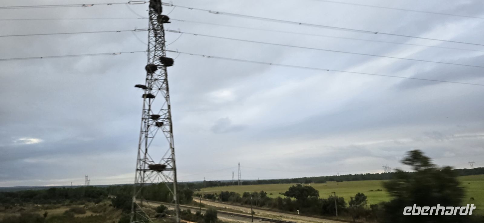 Storchennester &ndash; &copy; Marlies Thrum (Eberhardt TRAVEL)