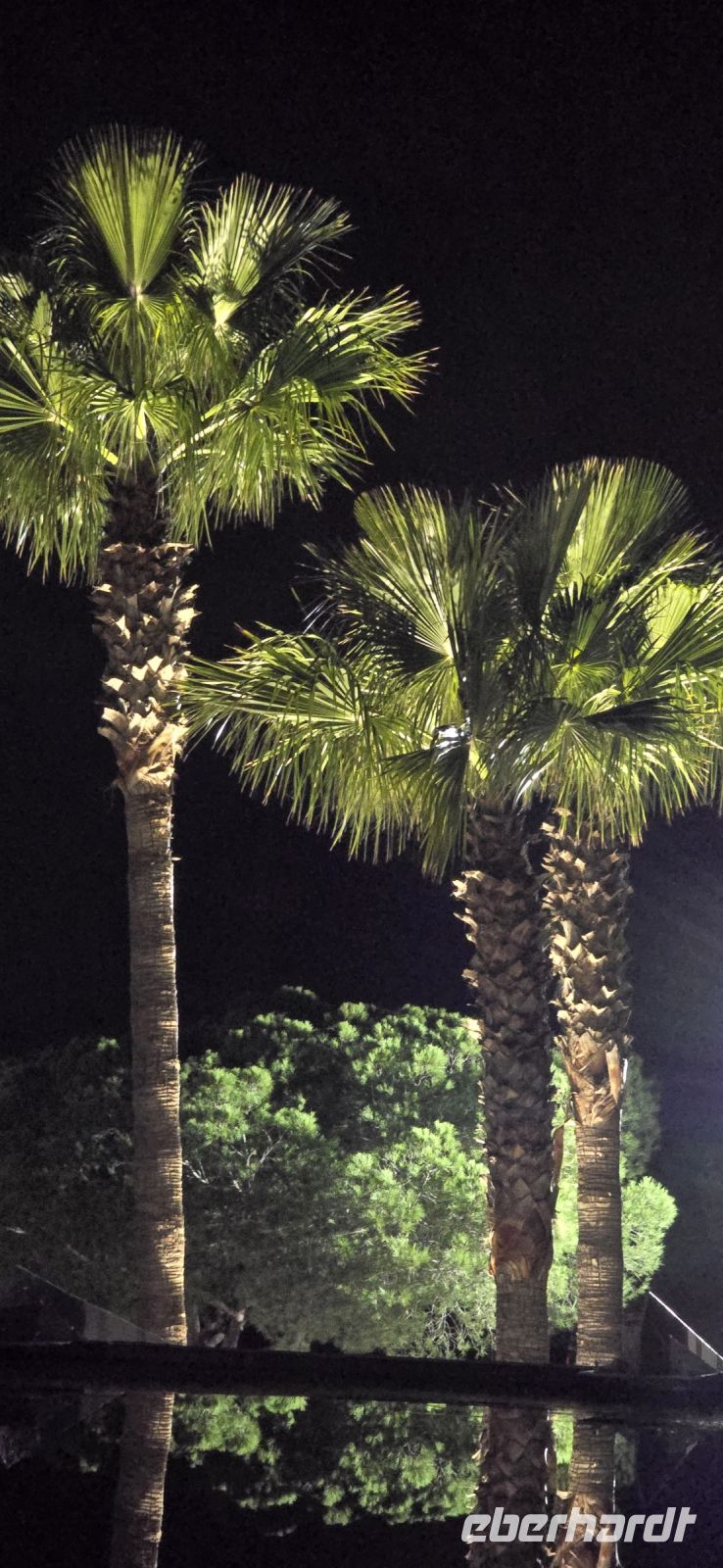 gute Nacht &ndash; &copy; Marlies Thrum (Eberhardt TRAVEL)