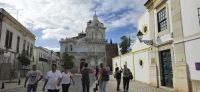 Faro mit vielen Storchennestern &ndash; &copy; Marlies Thrum (Eberhardt TRAVEL)
