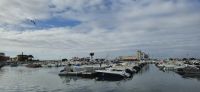 Marina von Faro &ndash; &copy; Marlies Thrum (Eberhardt TRAVEL)