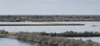 Salinen bei Faro &ndash; &copy; Marlies Thrum (Eberhardt TRAVEL)