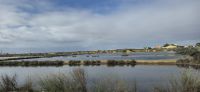Salinen bei Faro &ndash; &copy; Marlies Thrum (Eberhardt TRAVEL)
