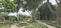 Gärten von Tavira &ndash; &copy; Marlies Thrum (Eberhardt TRAVEL)