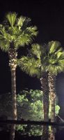 gute Nacht &ndash; &copy; Marlies Thrum (Eberhardt TRAVEL)
