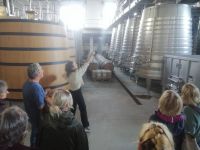 Führung duch die Produktionsanlage Vicentino Küstenweine &ndash; &copy; Andrey Kulikov (Eberhardt TRAVEL)