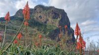 Adlerfelsen Madeira, Portugal &ndash; &copy; Anette Rietz (Eberhardt TRAVEL)