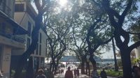 Straße zum Hafen von Funchal, Madeira, Portugal &ndash; &copy; Anette Rietz (Eberhardt TRAVEL)