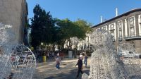 Innenstadt Funchal Weihnachten &ndash; &copy; Anette Rietz (Eberhardt TRAVEL)