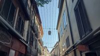 Dekoration Weihnachten in Funchal &ndash; &copy; Anette Rietz (Eberhardt TRAVEL)