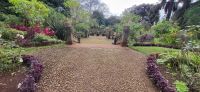 125 Palheiro Garden