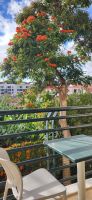 1 Neujahrsblick &ndash; &copy; Susanne Schirmann (Eberhardt TRAVEL)