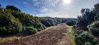 7 Wanderung Lorbeerwald &ndash; &copy; Susanne Schirmann (Eberhardt TRAVEL)