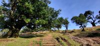 17 Wanderung Lorbeerwald &ndash; &copy; Susanne Schirmann (Eberhardt TRAVEL)