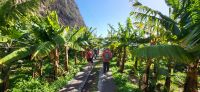 89 Faja dos Padres &ndash; &copy; Susanne Schirmann (Eberhardt TRAVEL)