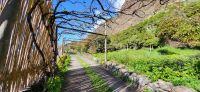 92 Faja dos Padres &ndash; &copy; Susanne Schirmann (Eberhardt TRAVEL)