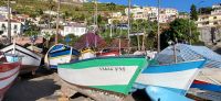 100 Camara de Lobos &ndash; &copy; Susanne Schirmann (Eberhardt TRAVEL)
