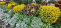 113 Santa Catarina Park Funchal &ndash; &copy; Susanne Schirmann (Eberhardt TRAVEL)