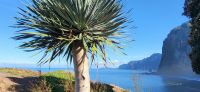 162 Nordseite Madeiras &ndash; &copy; Susanne Schirmann (Eberhardt TRAVEL)