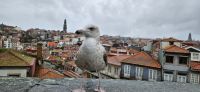 &copy; Ria Heilmann (Eberhardt TRAVEL)