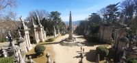 Lamego &ndash; &copy; Kerstin Hugel (Eberhardt TRAVEL)