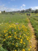 Wanderung durch das Naturreservat Caminho da Baleeira