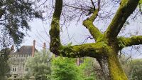 Palast der Herzöge von Bragança &ndash; &copy; Monika Cortese (Eberhardt TRAVEL)