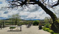 Weingut Quinta da Avessad &ndash; &copy; Monika Cortese (Eberhardt TRAVEL)