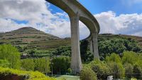 Zugfahrt durchs Douro-Tal