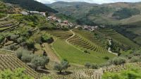 Auf dem Weg nach Pinhão &ndash; &copy; Monika Cortese (Eberhardt TRAVEL)