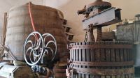Weingut Quinta da Avessad &ndash; &copy; Monika Cortese (Eberhardt TRAVEL)