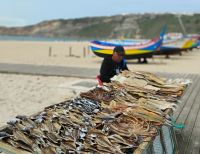 Stockfisch, Nazaré  &ndash; &copy; Monika Cortese (Eberhardt TRAVEL)