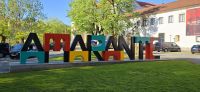 Amarante (3)
